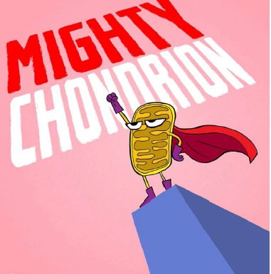 金屬質感分割線